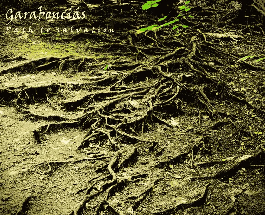 Path to Salvation cover