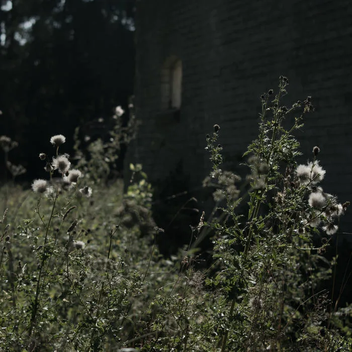 The Yearning cover