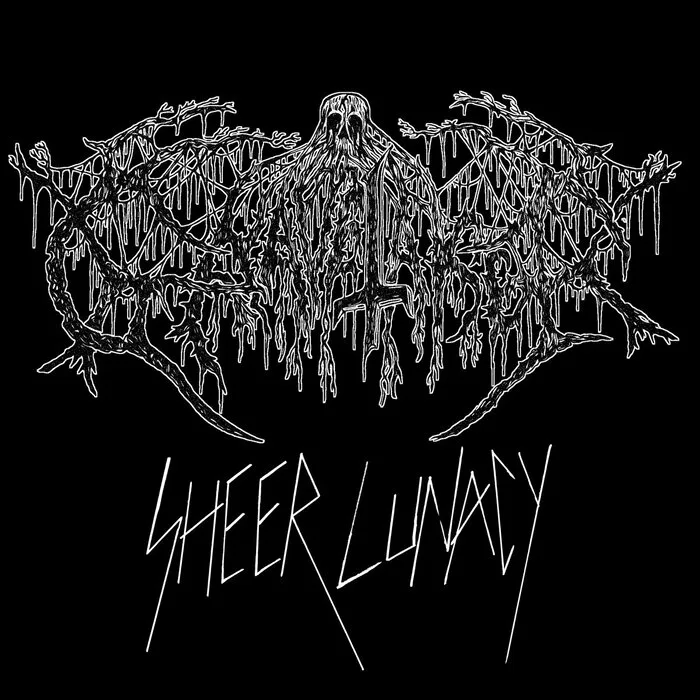 Sheer Lunacy cover