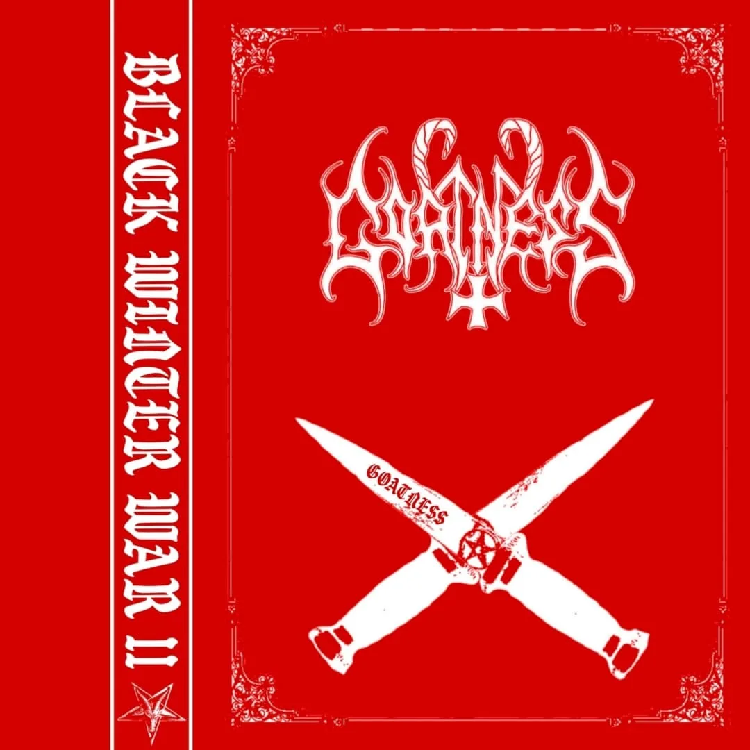 Black Winter War ll cover
