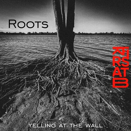 Yelling at the Wall cover