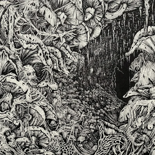 Within the Womb cover