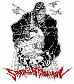 Demo 2010 cover