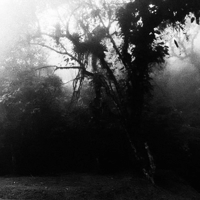 Subjugate the Unknown to the Yoke of Reason cover