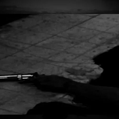 My Voice Says Die cover