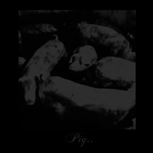 Pig cover
