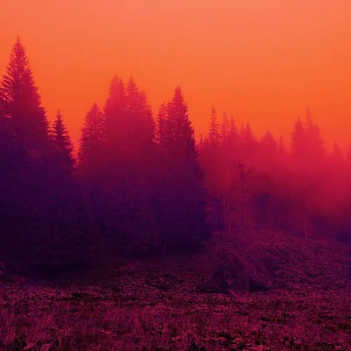 The Skyline Was Beautiful on Fire cover