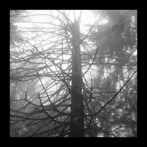 Death of the Ideal cover