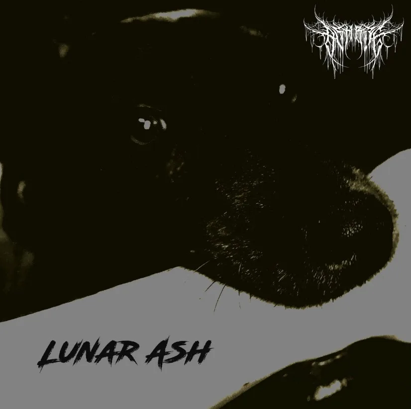 Lunar Ash cover