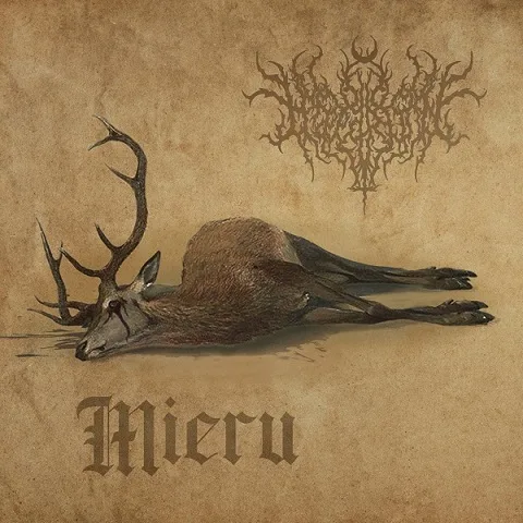 Mieru cover