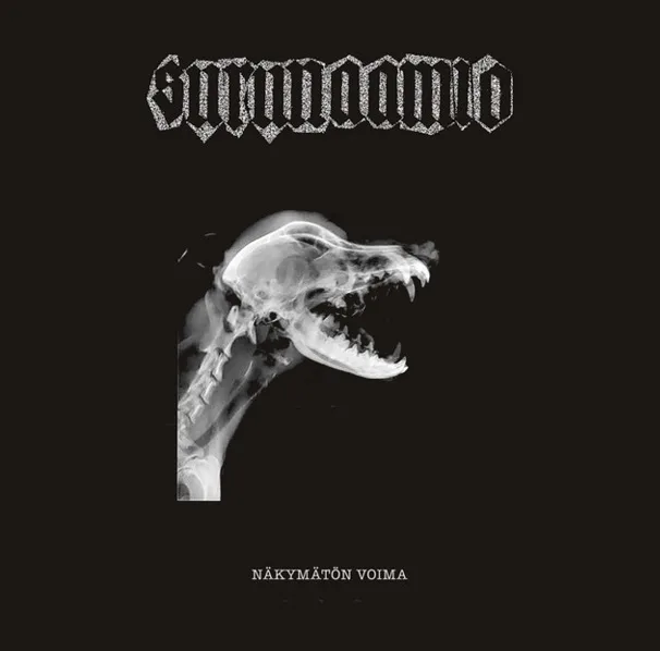 Näkymätön voima cover