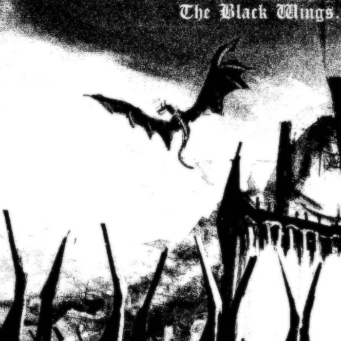 The Black Wings cover