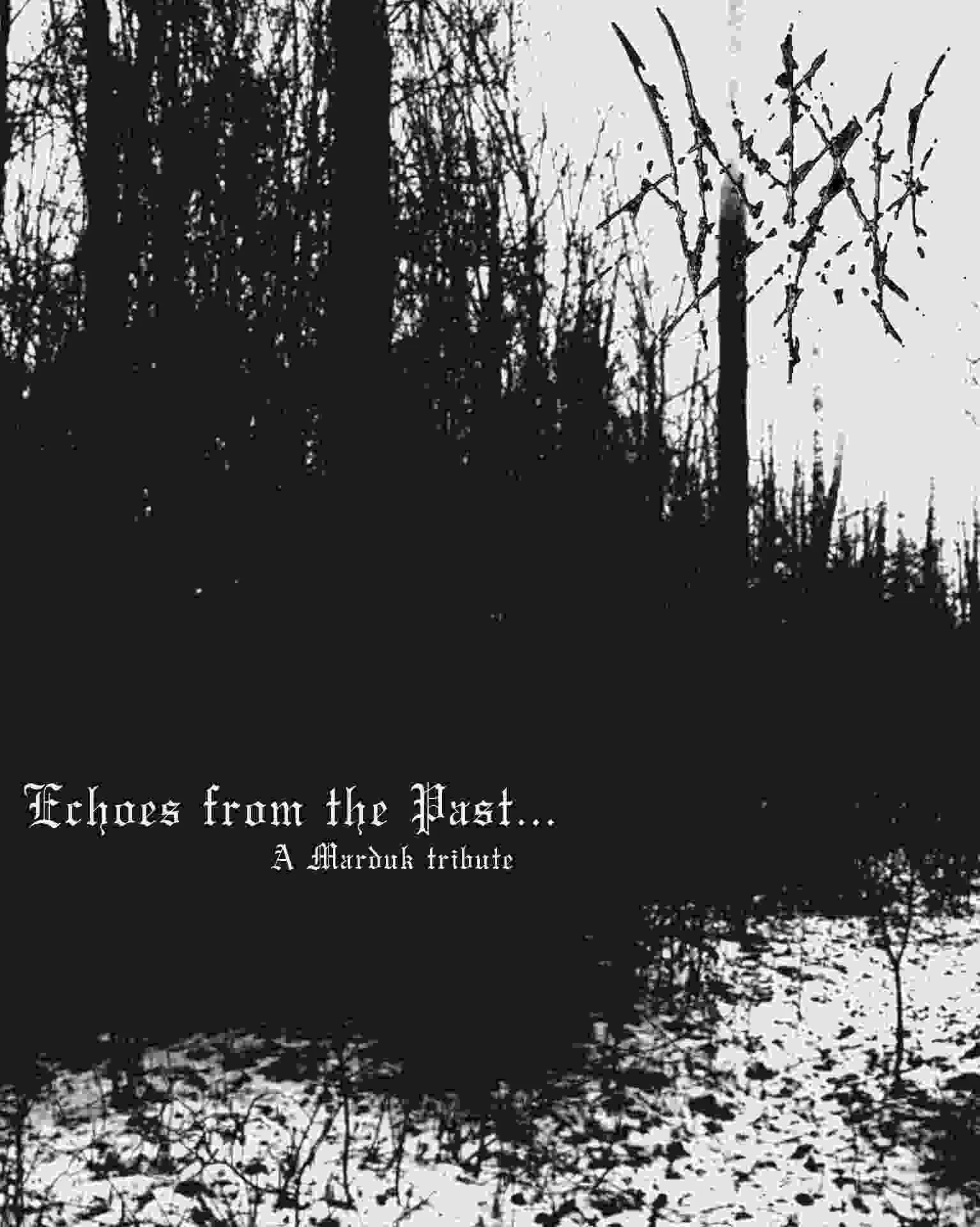 Echoes from the Past... cover