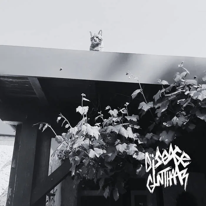 Disease Gunthaar cover