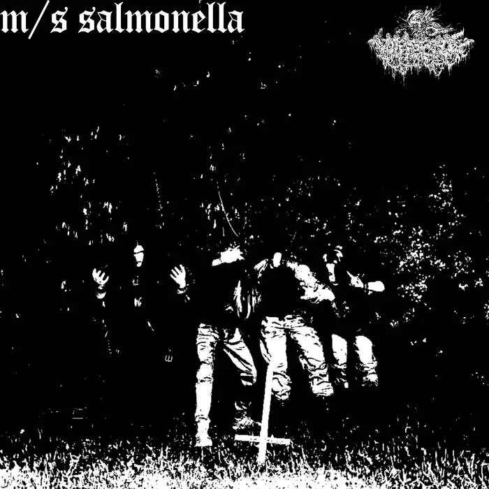 M/S Salmonella cover