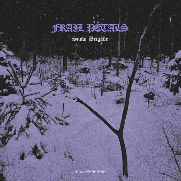 Snow Brigade cover