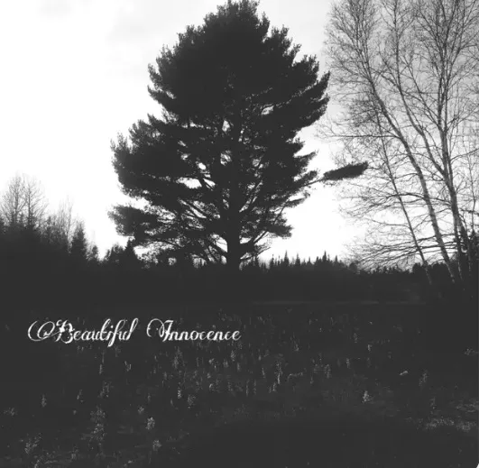 Beautiful Innocence cover