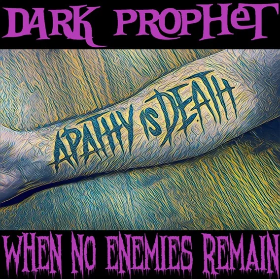 When No Enemies Remain cover