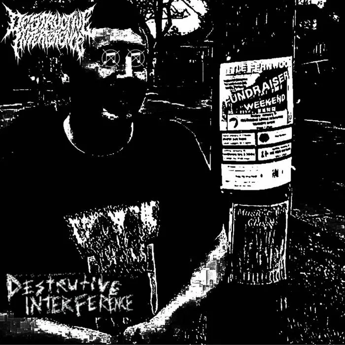 Destructive Interference cover