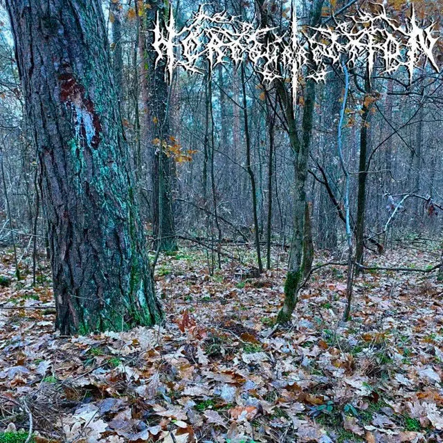 Sacrifice Your Life for Me cover