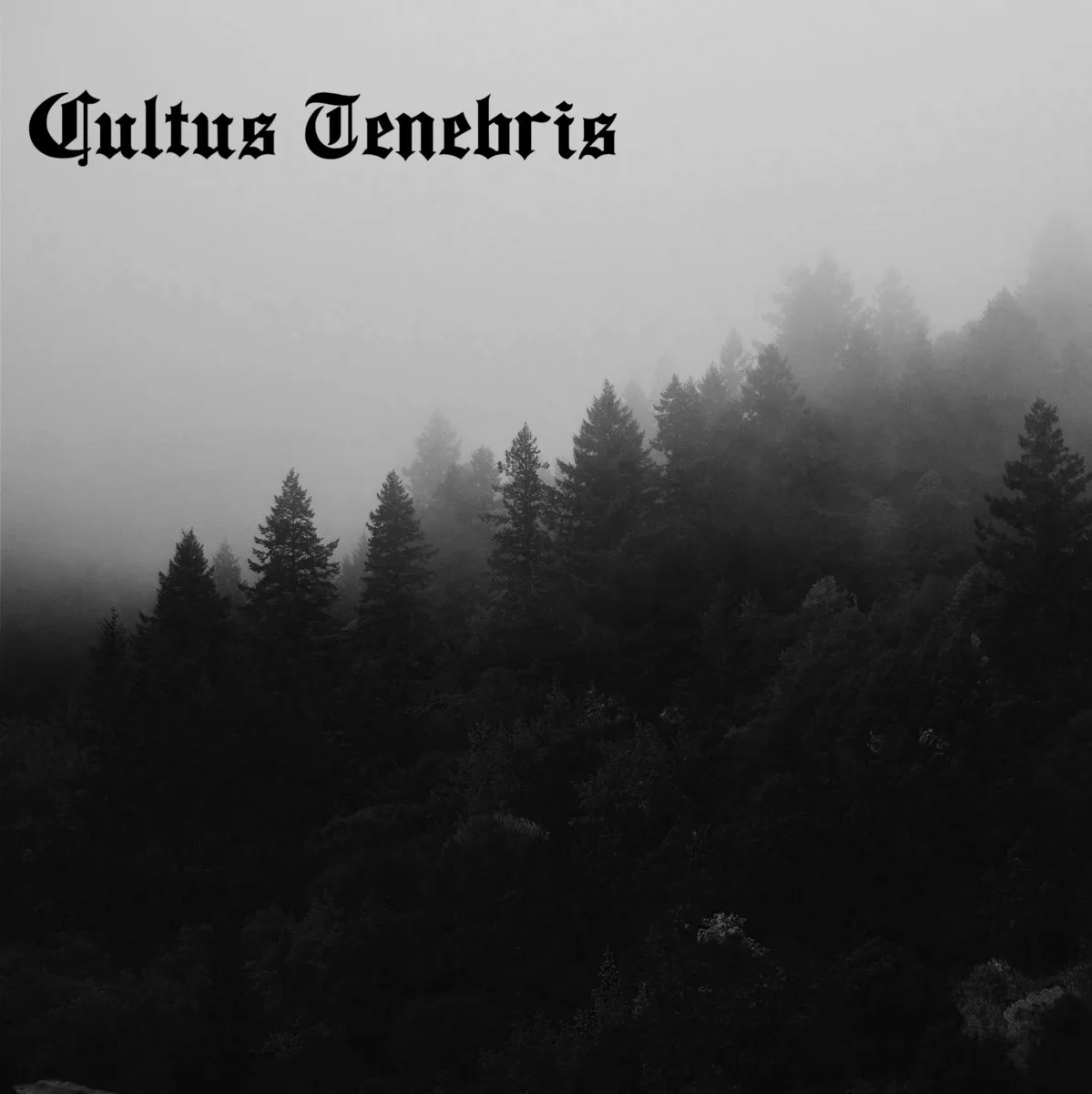 Where Suffering Prevails cover