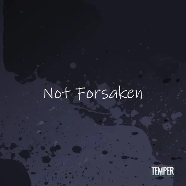 Not Forsaken cover
