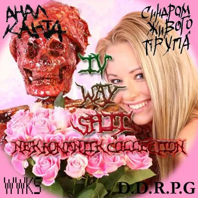 Nekromantik Collection cover