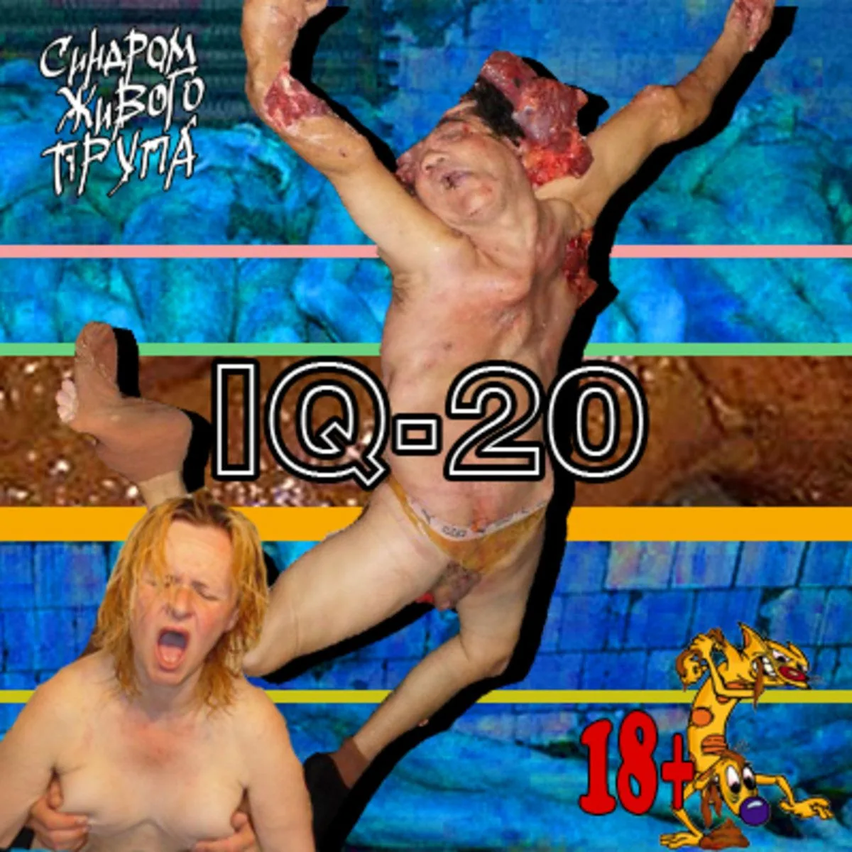 IQ 20 cover