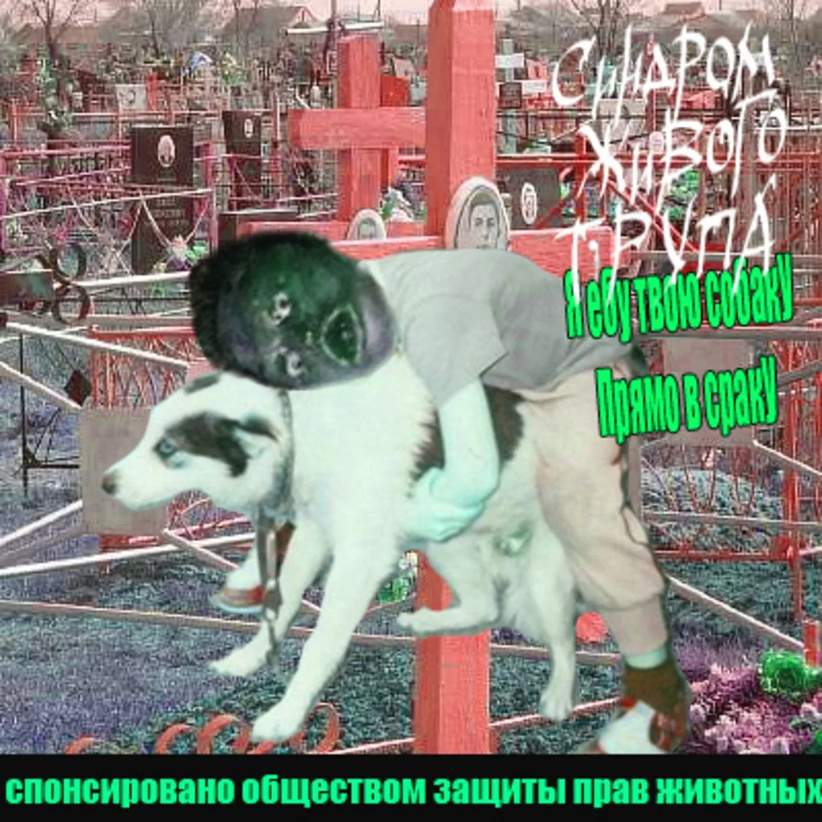 Я Ебу Твою Собаку Прямо В Сраку cover