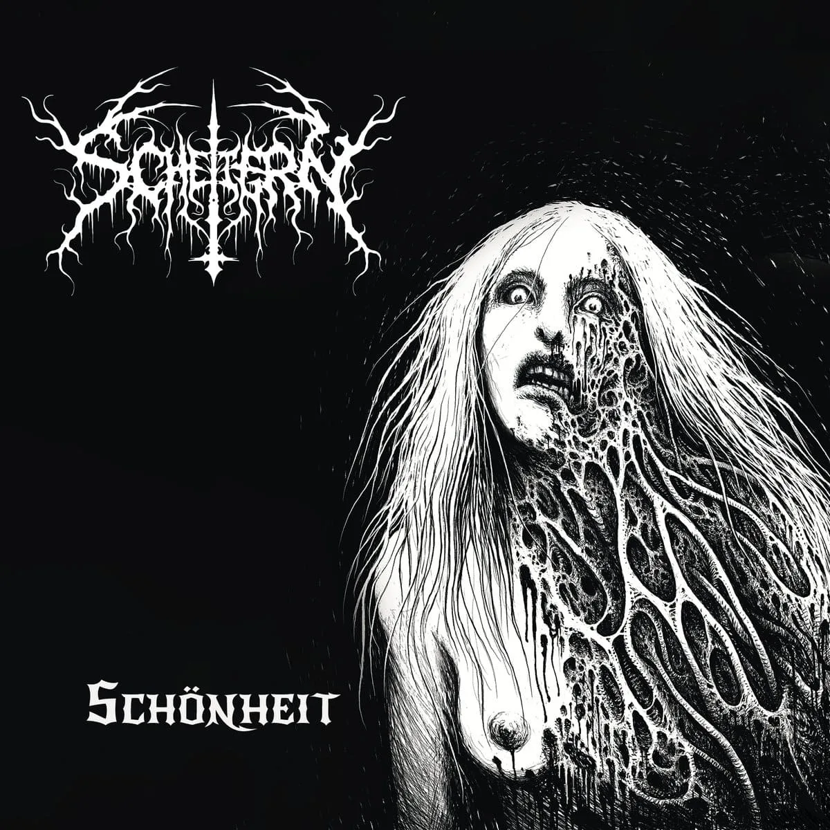 Schönheit cover