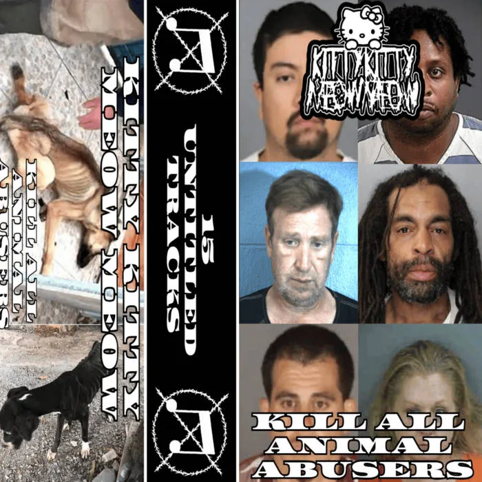 Kill All Animal Abusers cover