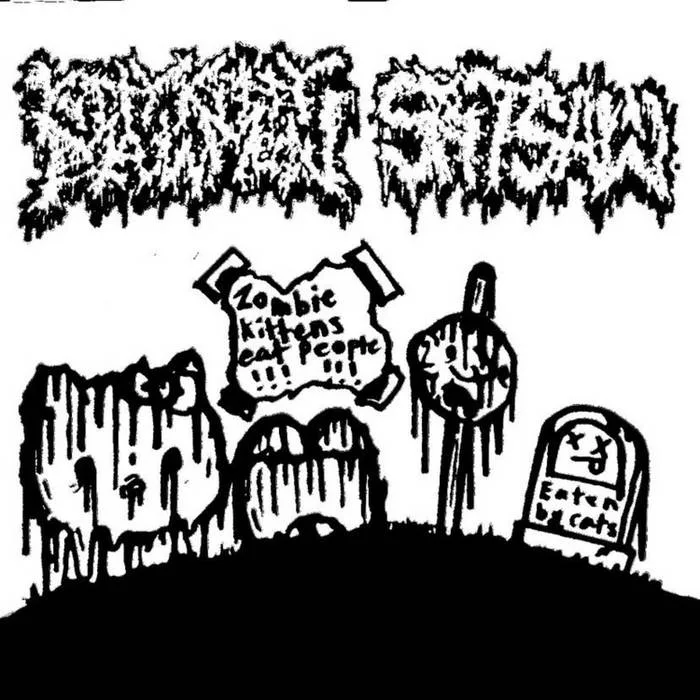 Kitty Kitty Meow Meow / Spitsaw cover