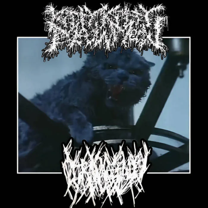 Kitty Kitty Meow Meow / Ultraviolence cover