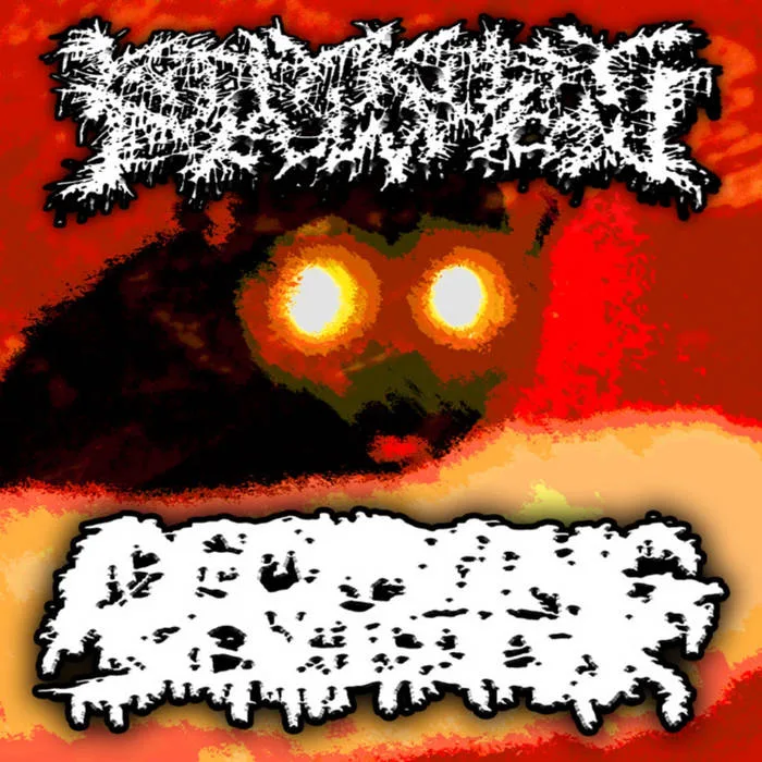 Kitty Kitty Meow Meow / Decaying Soldier cover