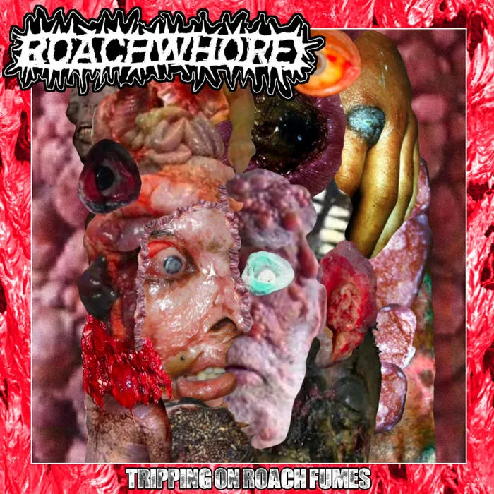 Tripping on Roach Fumes cover