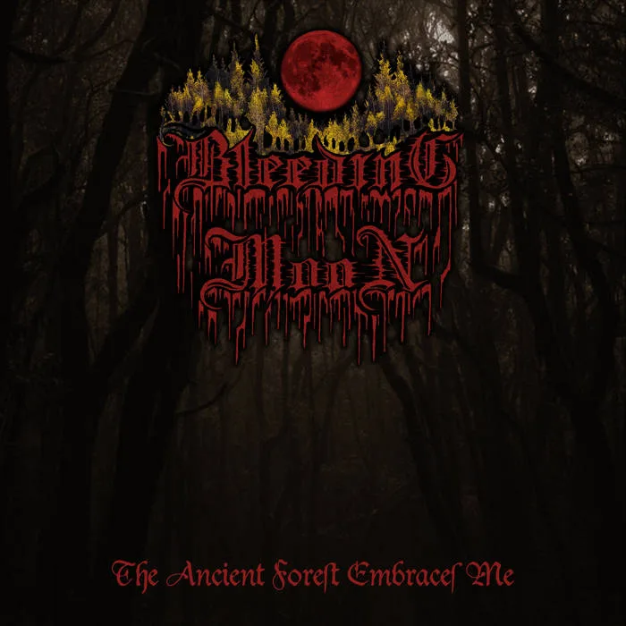 The Ancient Forest Embraces Me cover