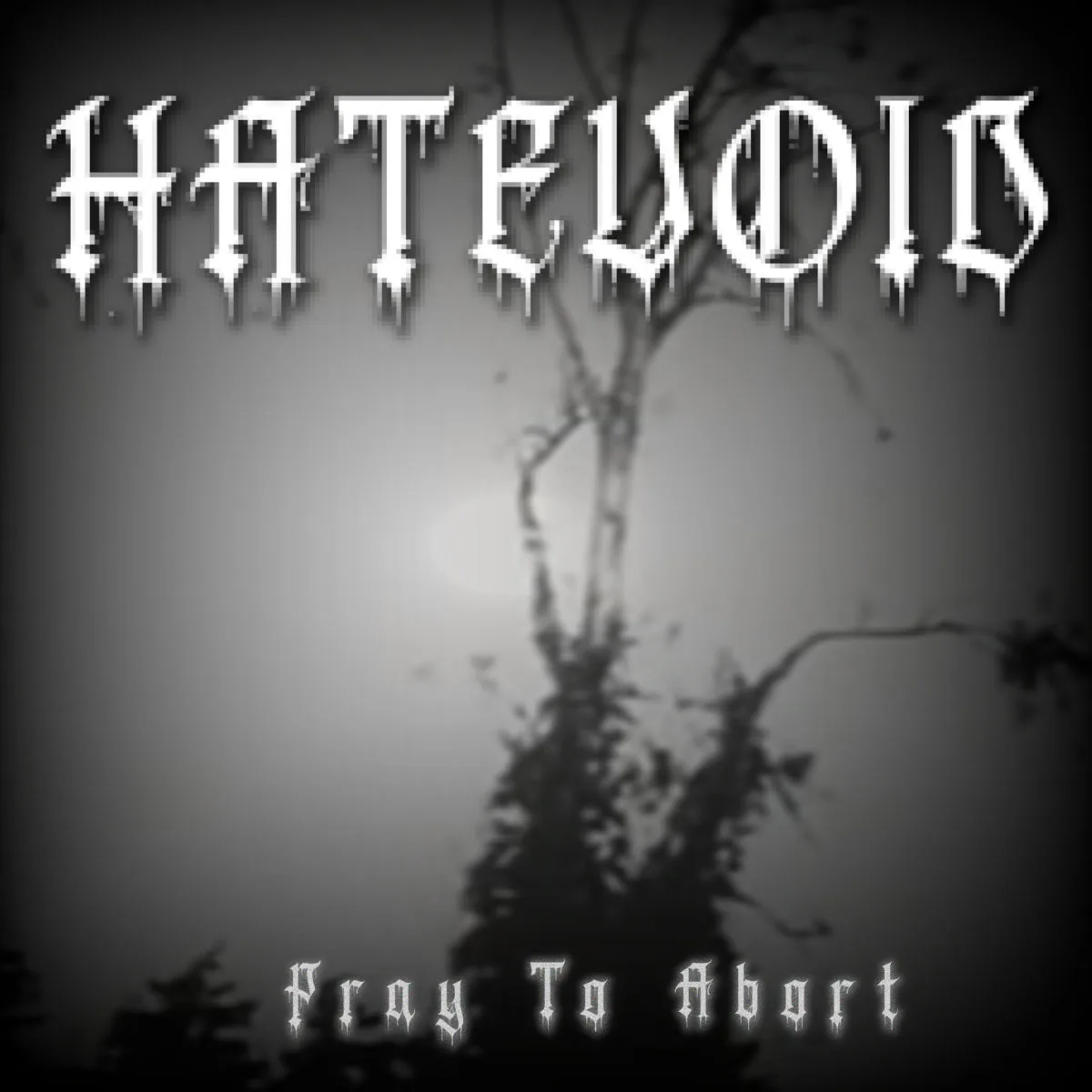 Pray to Abort cover