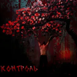 Контроль cover