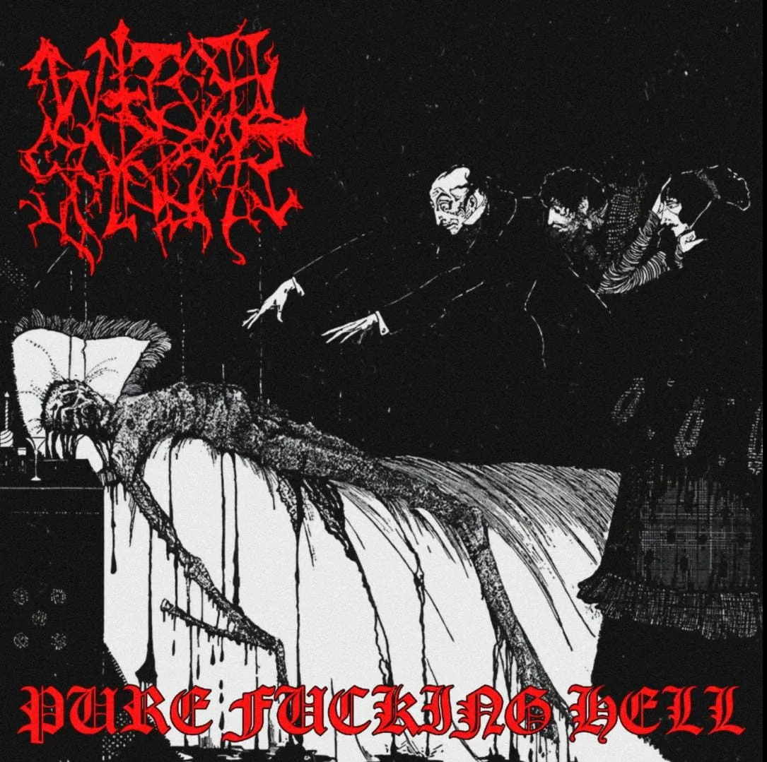 Pure Fucking Hell cover