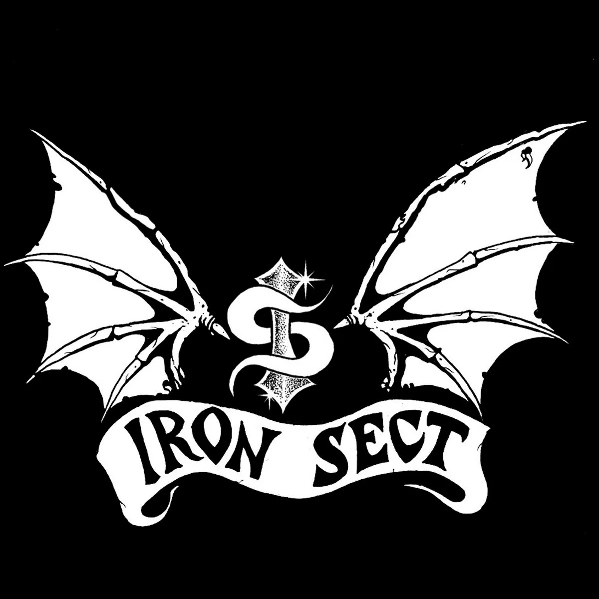 Through the Storm cover