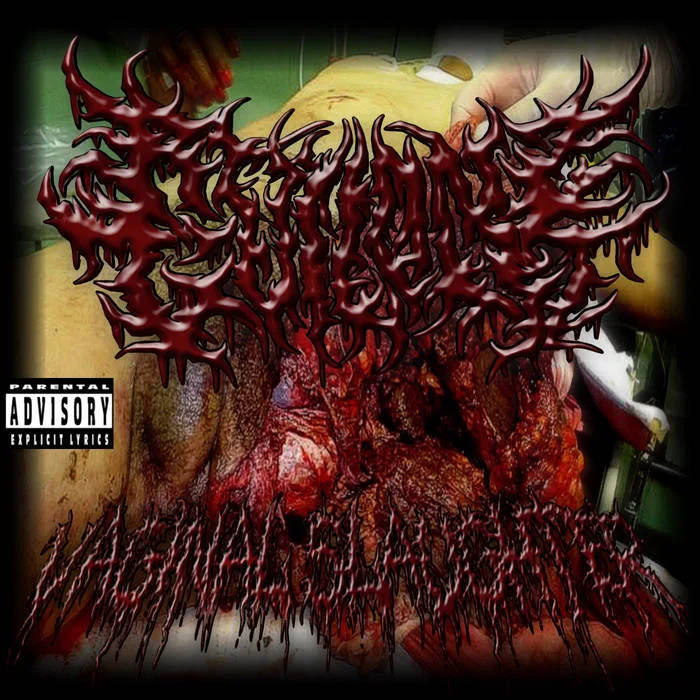 Vaginal Slaughter cover