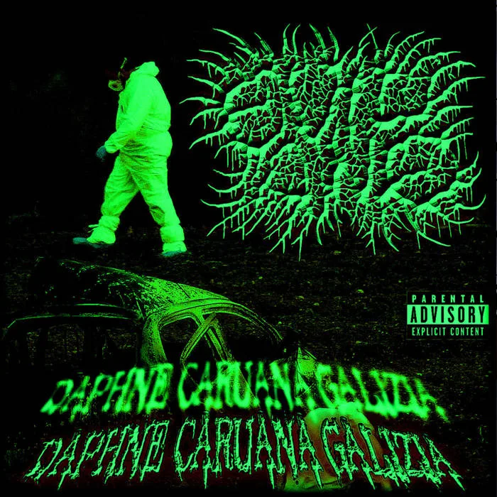 Daphne Caruana Galizia cover