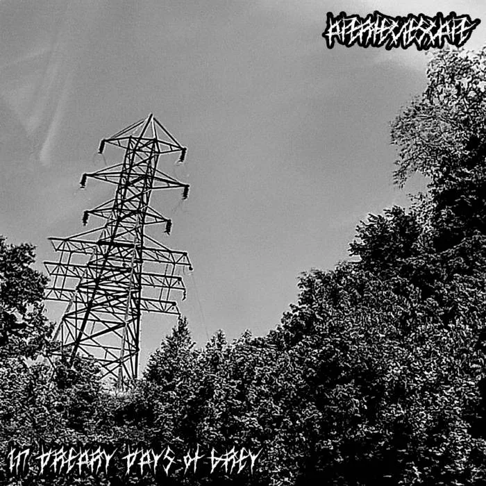 In Dreary Days of Grey cover