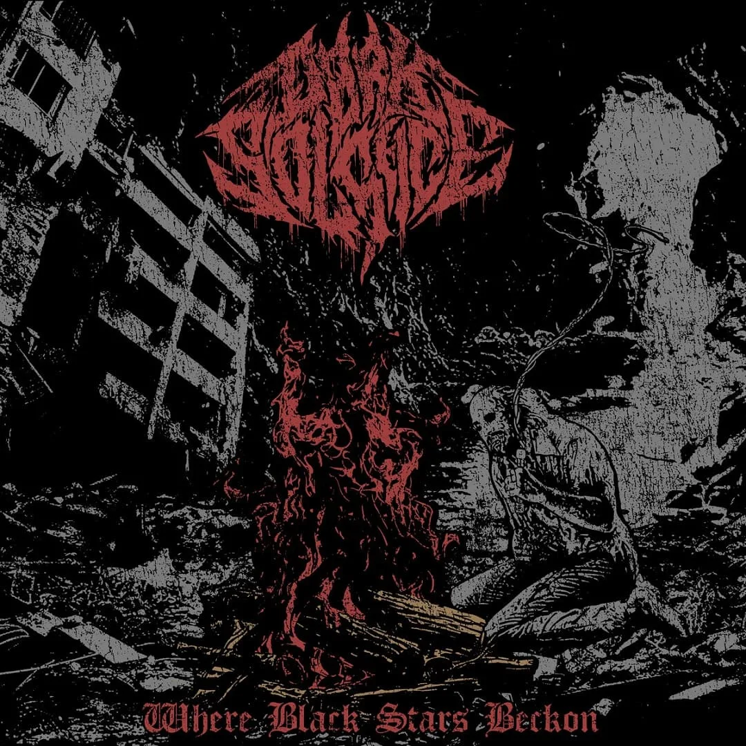 Where Black Stars Beckon cover