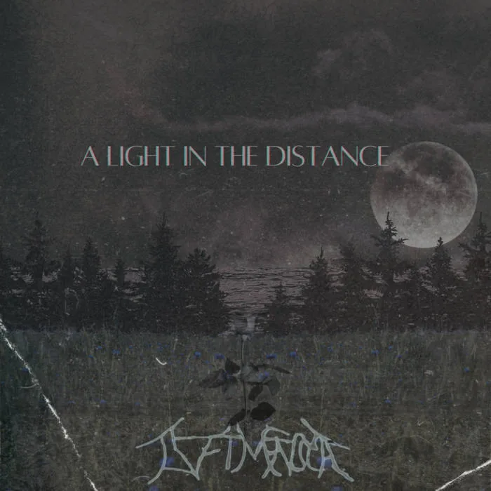 A Light in the Distance cover