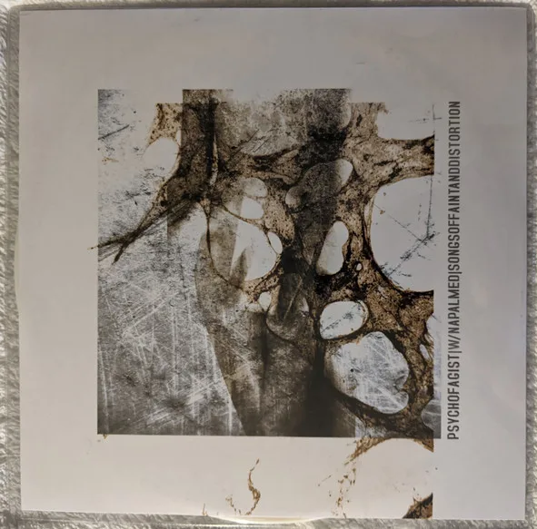 Songs of Faint and Distortion cover