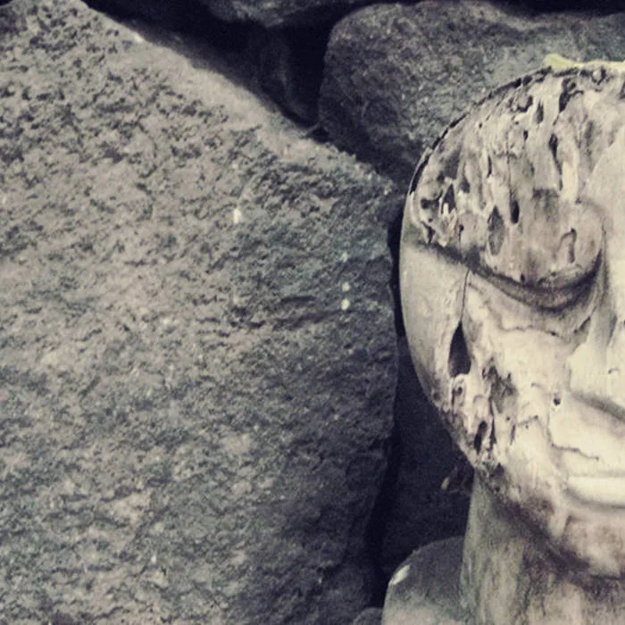 Between Mushrooms cover