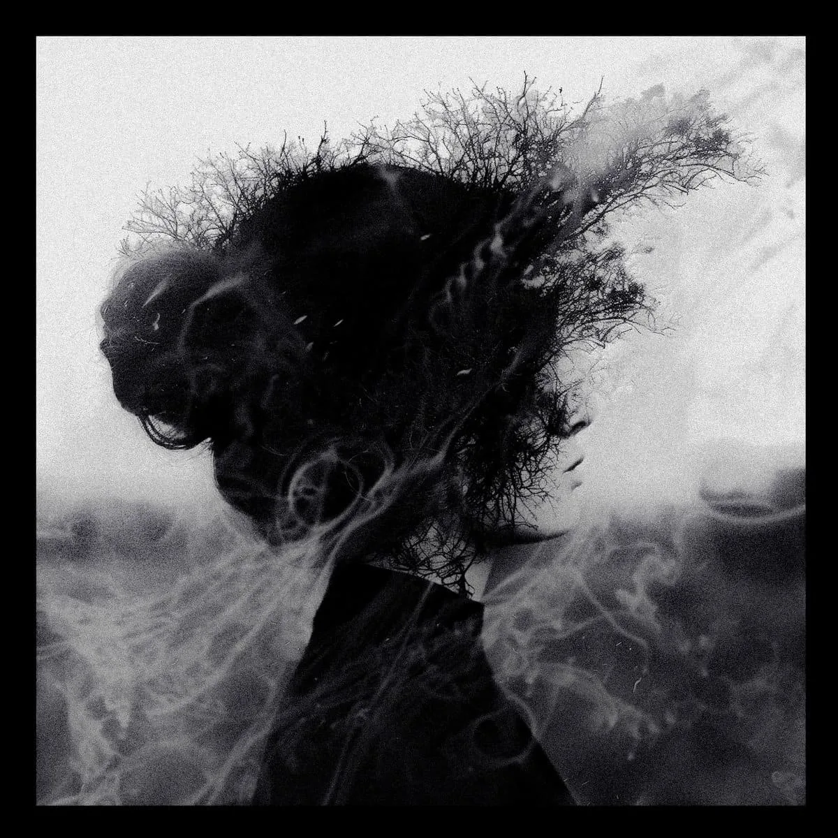 Dissolved in Grief cover