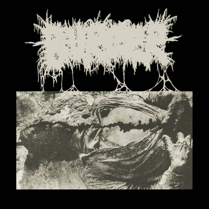 To Live Is to Suffer cover