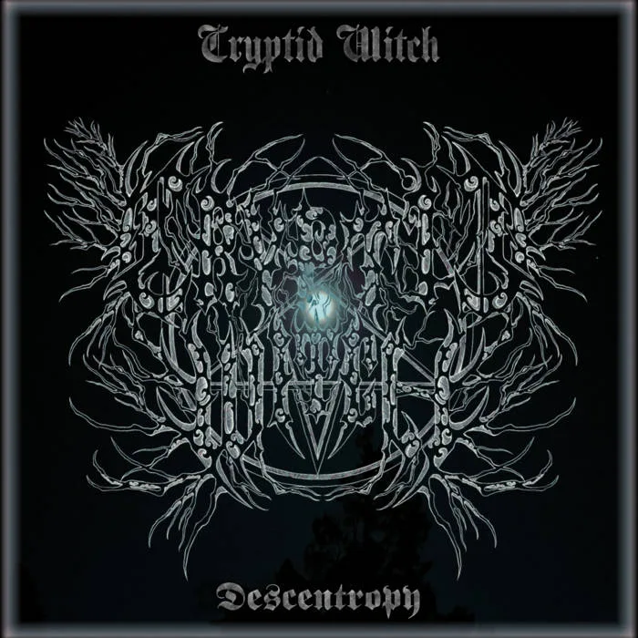 Descentropy cover